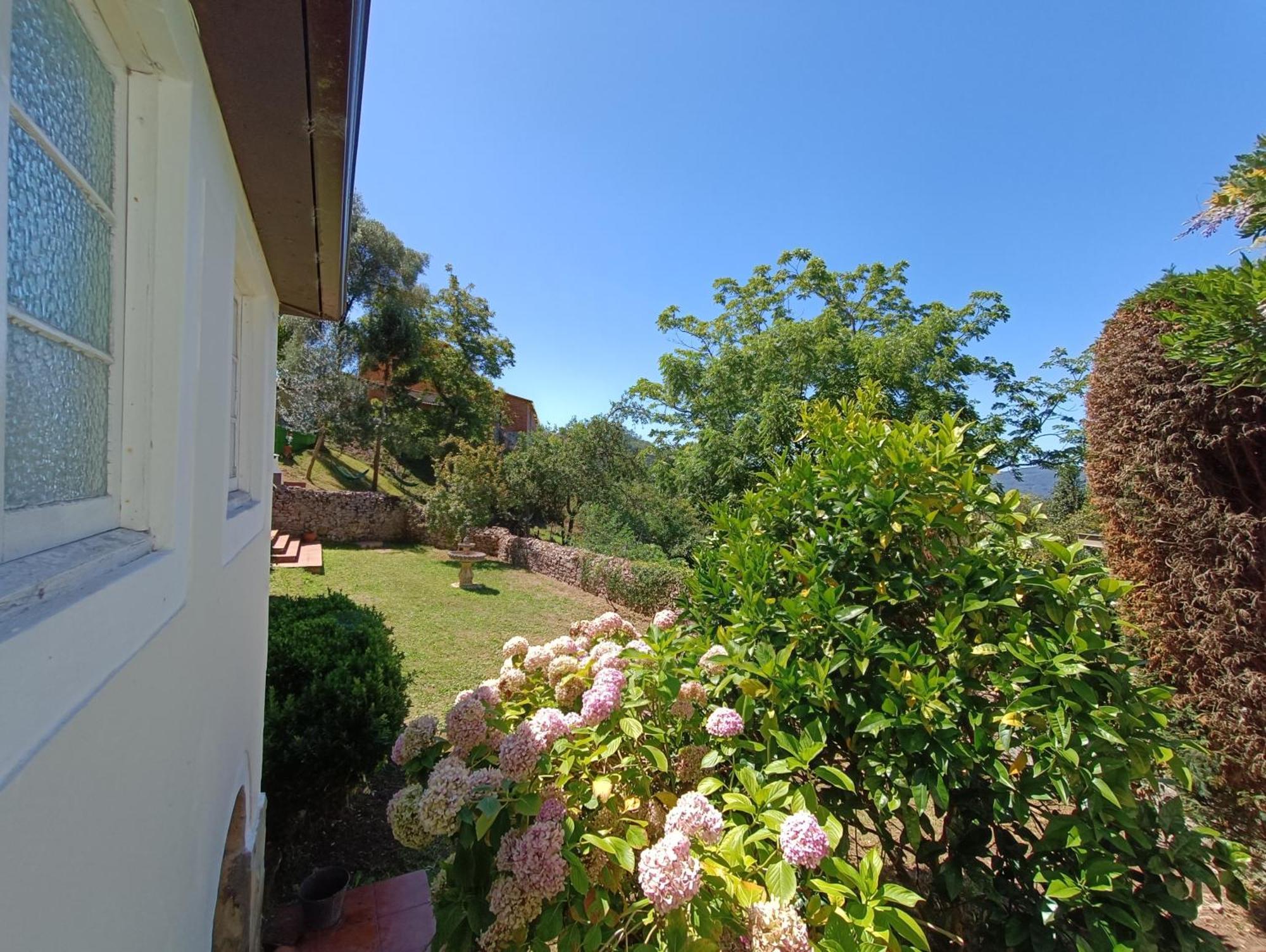Casa Rural El Huerto. Las Mascotas Son Bienvenidas โซโต เดล บาร์โก ภายนอก รูปภาพ